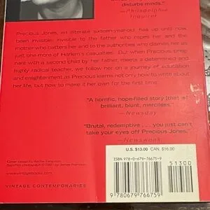 vintage contemporary | Other | Push A Novel By Sapphire With Silver ...